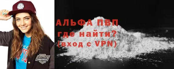 ECSTASY Богородск